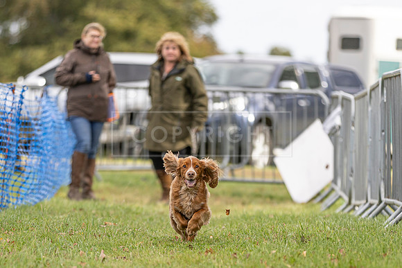Osberton 5th October 2025-102