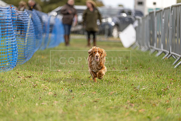 Osberton 5th October 2025-104