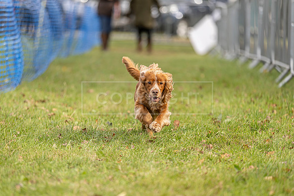 Osberton 5th October 2025-105
