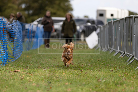 Osberton 5th October 2025-106