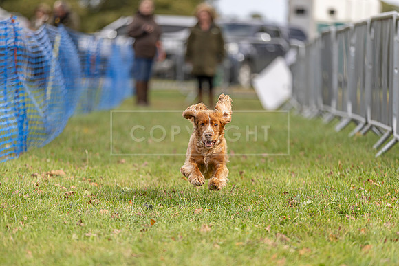 Osberton 5th October 2025-107