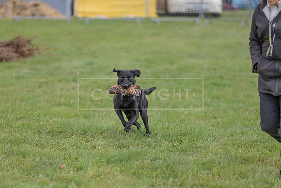 Osberton 5th October 2025-110