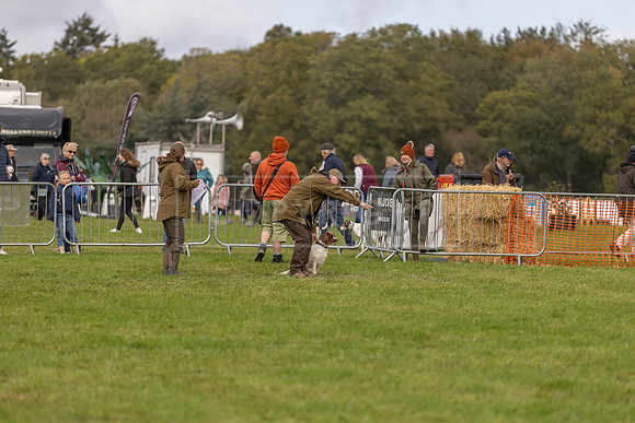 Osberton 5th October 2025-111