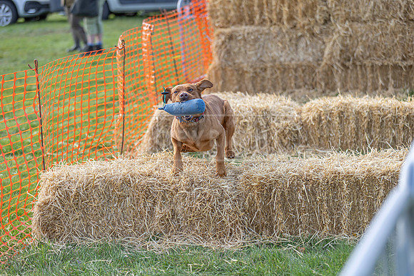 Osberton 5th October 2025-122