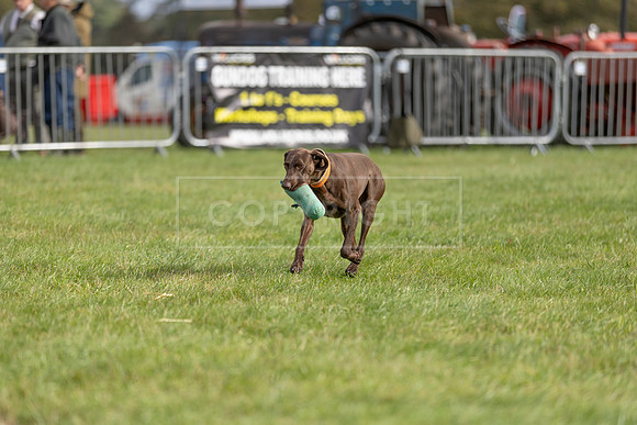Osberton 5th October 2025-123