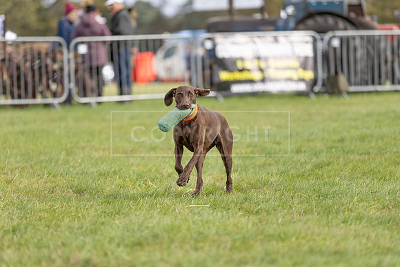 Osberton 5th October 2025-125