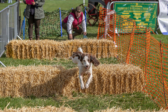 Osberton 5th October 2025-127