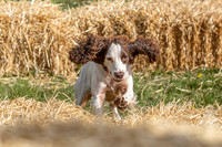 2025 Scurry Competition Finals -  5th October 2025 (Osberton)