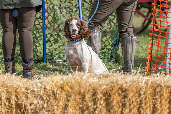 Osberton 5th October 2025-130