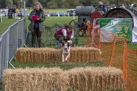 Osberton 5th October 2025-129