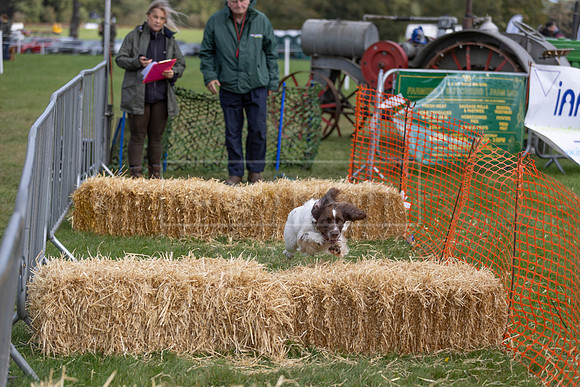 Osberton 5th October 2025-137