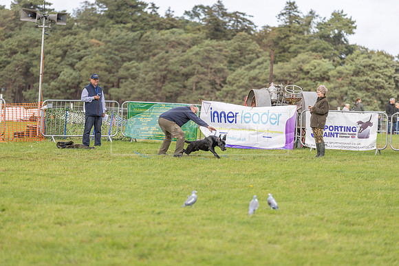 Osberton 5th October 2025-154