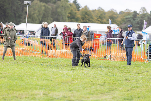 Osberton 5th October 2025-155