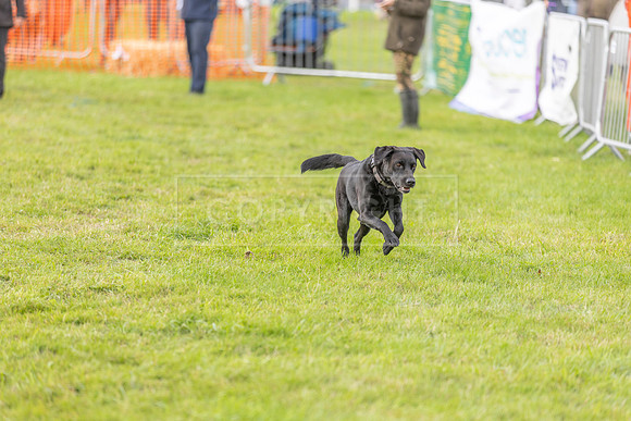 Osberton 5th October 2025-156