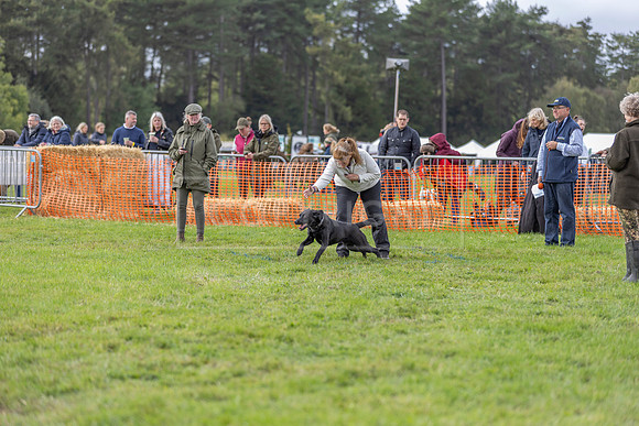Osberton 5th October 2025-160