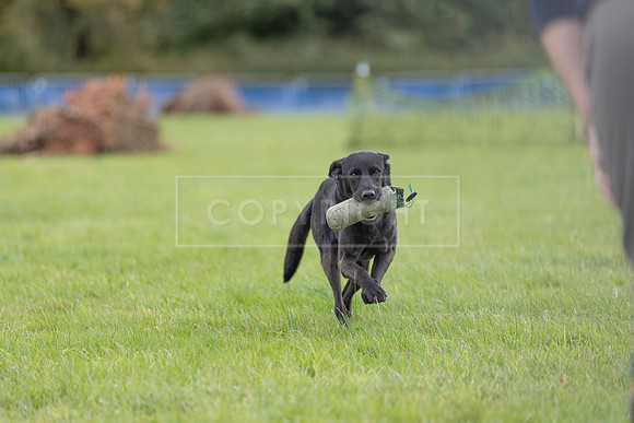 Osberton 5th October 2025-164