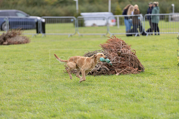 Osberton 5th October 2025-170