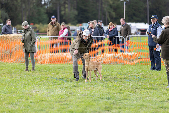 Osberton 5th October 2025-169