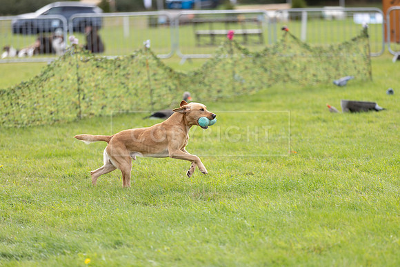 Osberton 5th October 2025-171
