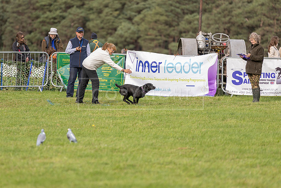 Osberton 5th October 2025-173