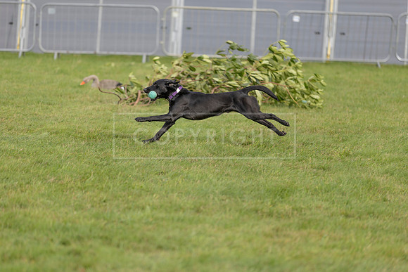 Osberton 5th October 2025-175