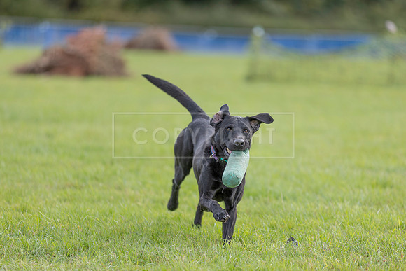 Osberton 5th October 2025-177