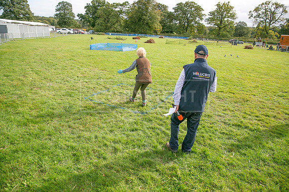Osberton 5th October 2025-179