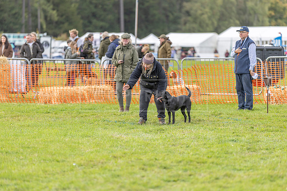 Osberton 5th October 2025-188