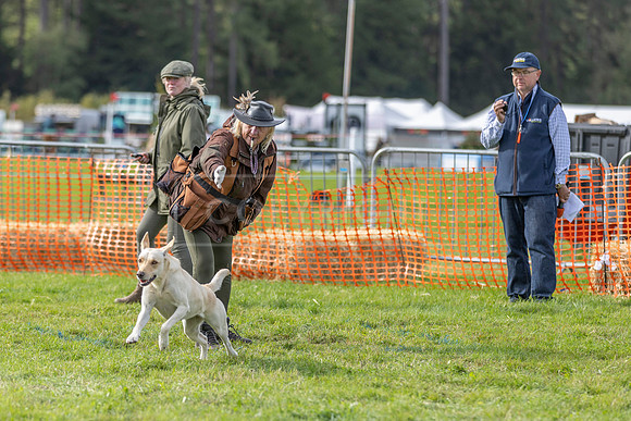 Osberton 5th October 2025-186