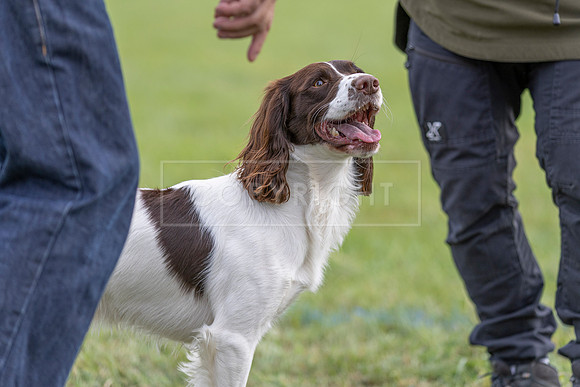 Osberton 5th October 2025-201
