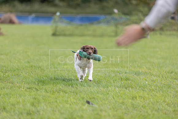 Osberton 5th October 2025-203