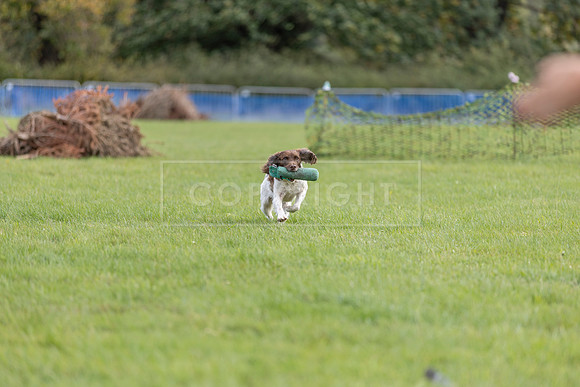 Osberton 5th October 2025-202
