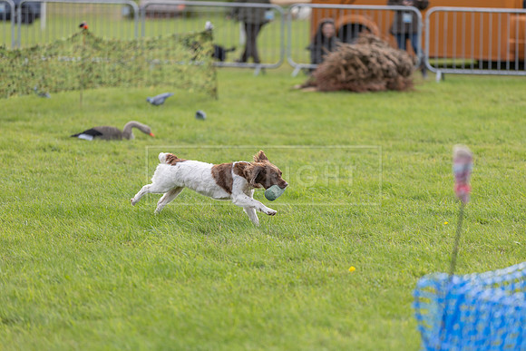 Osberton 5th October 2025-204