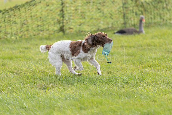 Osberton 5th October 2025-210