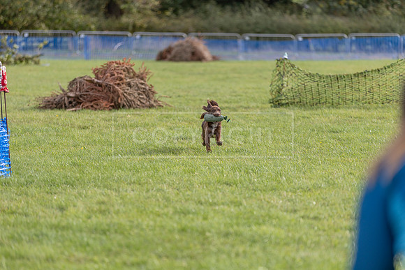 Osberton 5th October 2025-222