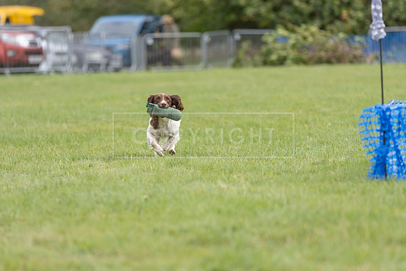 Osberton 5th October 2025-228