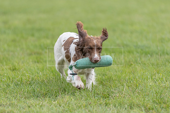Osberton 5th October 2025-230