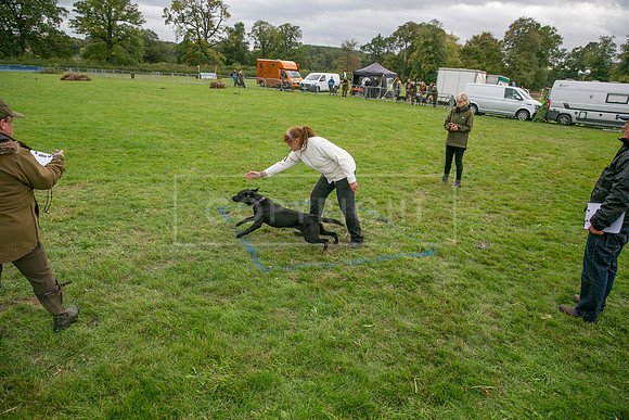 Osberton 5th October 2025-242