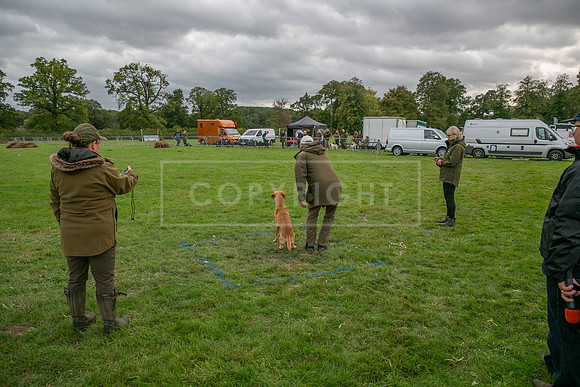 Osberton 5th October 2025-249
