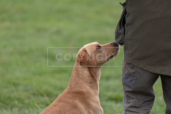 Osberton 5th October 2025-251
