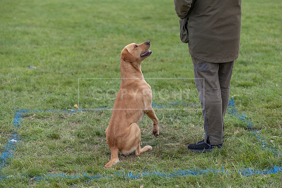 Osberton 5th October 2025-250