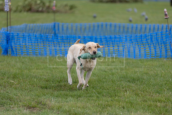 Osberton 5th October 2025-255