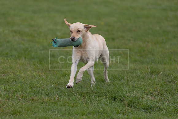 Osberton 5th October 2025-256