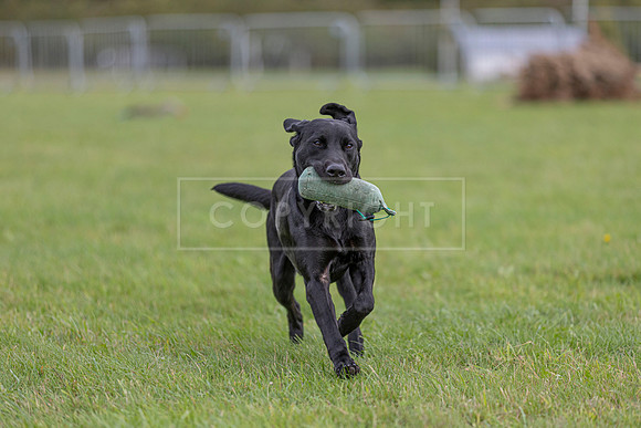 Osberton 5th October 2025-261