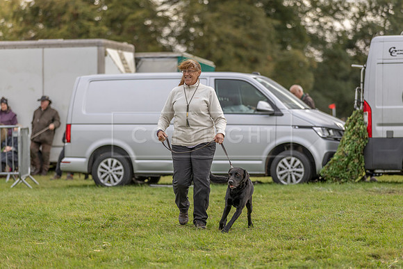 Osberton 5th October 2025-262