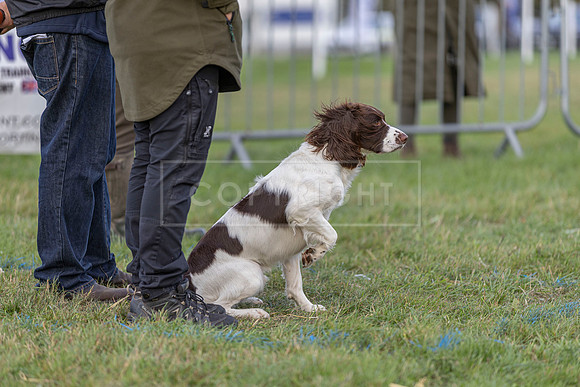 Osberton 5th October 2025-268
