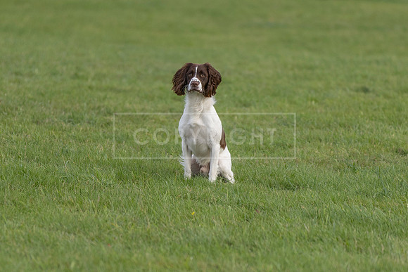 Osberton 5th October 2025-270