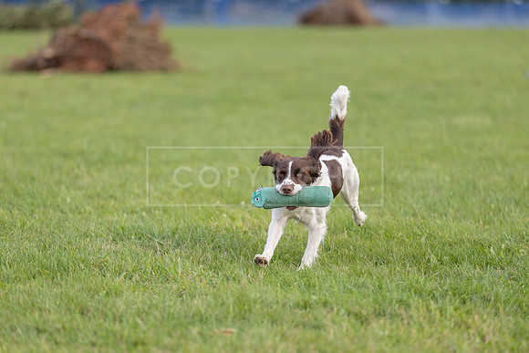 Osberton 5th October 2025-271