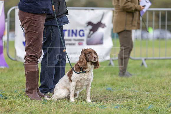 Osberton 5th October 2025-282
