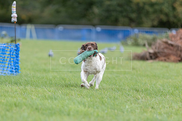 Osberton 5th October 2025-284